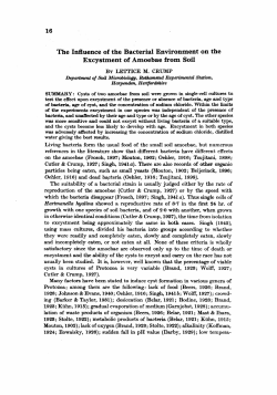 The Influence of the Bacterial Environment on the