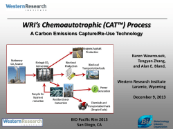 WRI`s Chemoautotrophic (CAT&trade;) Process