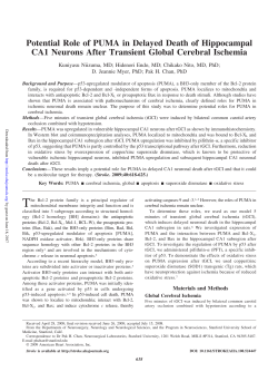 Potential Role of PUMA in Delayed Death of Hippocampal