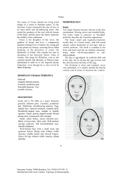 MORPHOLOGY Static DOMINANT CHARACTERISTICS