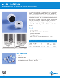 AF Piston