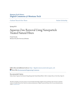 Aqueous Zinc Removal Using Nanoparticle Treated Natural Fibers