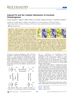 Induced Fit and the Catalytic Mechanism of Isocitrate Dehydrogenase