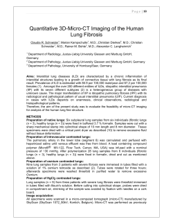 Quantitative 3D-Micro-CT Imaging of the Human Lung Fibrosis