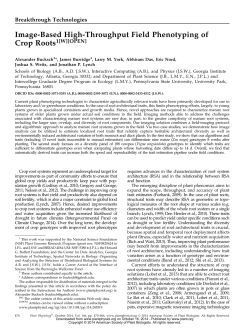 Image-Based High-Throughput Field Phenotyping of Crop Roots1[W
