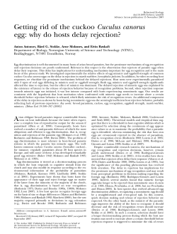 Getting rid of the cuckoo Cuculus canorus egg