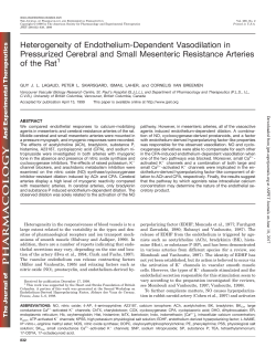 Heterogeneity of Endothelium-Dependent Vasodilation in