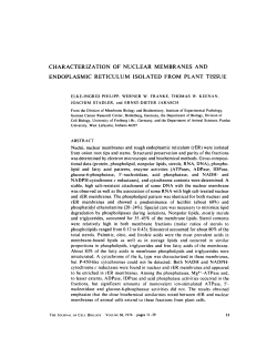 characterization of nuclear membranes and