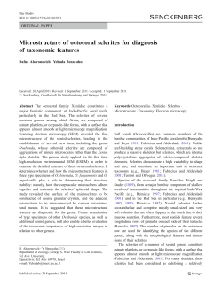 Microstructure of octocoral sclerites for diagnosis of taxonomic features