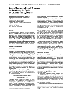 pdf - Shapiro Lab