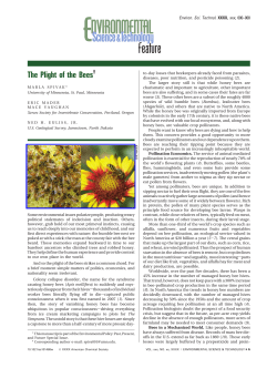 The Plight of the Bees