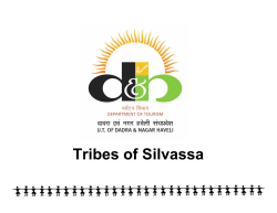 Tribes of Silvassa