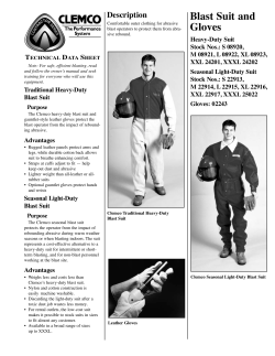 Blast Suit and Gloves - abrasive-equipment.kleenindustrialservices.
