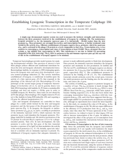 Establishing Lysogenic Transcription in the