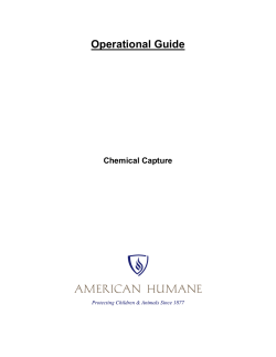 (442.8KB PDF)