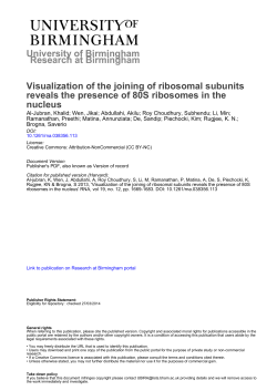 University of Birmingham Visualization of the joining of ribosomal