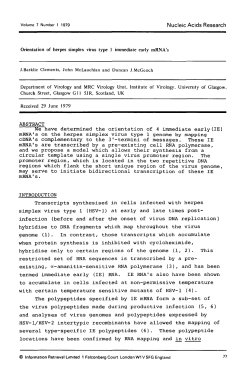 Orientation of herpes simplex virus type 1 immediate early mRNA`s