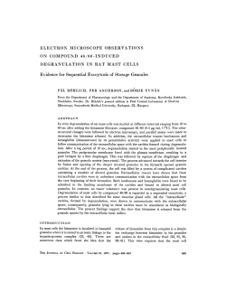 ELECTRON MICROSCOPE OBSERVATIONS ON COMPOUND 48
