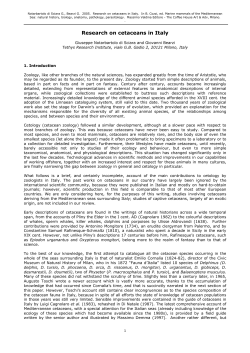 Research on cetaceans in Italy