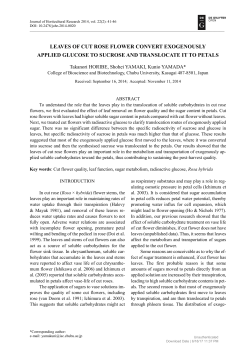 leaves of cut rose flower convert exogenously applied