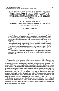 and mackerel - The Company of Biologists