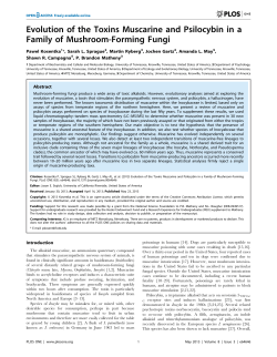 Evolution of the Toxins Muscarine and Psilocybin