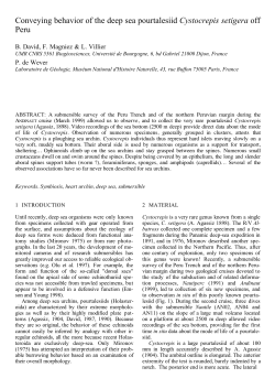 Conveying behavior of the deep sea pourtalesiid Cystocrepis