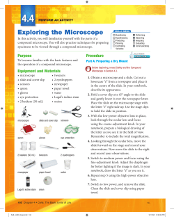 Exploring the Microscope
