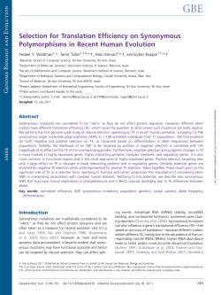 Selection for Translation Efficiency on Synonymous Polymorphisms
