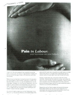 Learn More - Hibiscus Coast Midwives