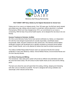 FACT SHEET: MVP Dairy Abides by the Highest Standards for