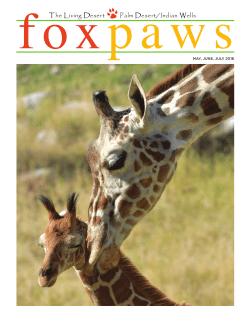 MAY, JUNE, JULY 2016