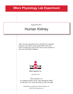Human Kidney