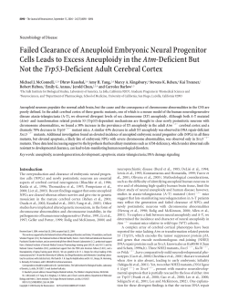 Failed Clearance of Aneuploid Embryonic Neural Progenitor Cells