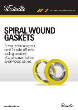 spiral wound gaskets