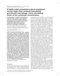 A highly stable polyethylene glycol-conjugated human single