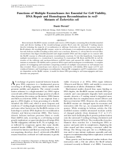 Functions of Multiple Exonucleases Are Essential for Cell