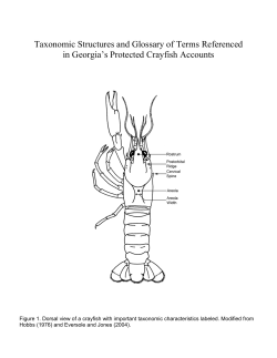crayfish glossary - Wildlife Resources Division