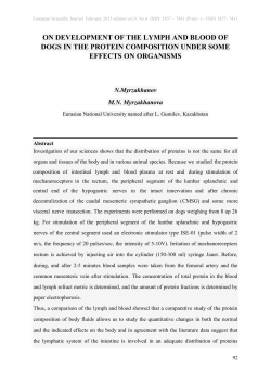 on development of the lymph and blood of dogs in the protein