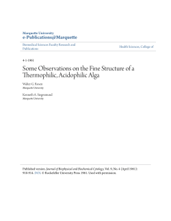 Some Observations on the Fine Structure of a Thermophilic