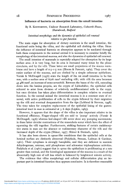 Influence of bacteria on absorption from the small intestine