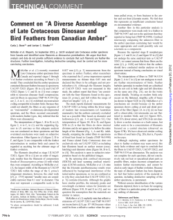 Comment on - University of Alberta