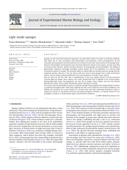 Light inside sponges