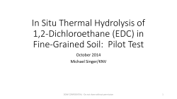 In Situ Thermal Hydrolysis of 1,2-Dichloroethane (EDC) in Fine