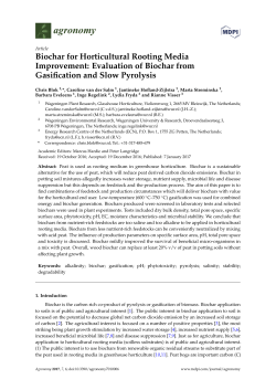 Biochar for Horticultural Rooting Media Improvement