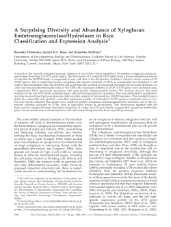 A Surprising Diversity and Abundance of