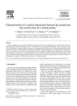 Characterization of a conical intersection between the ground and