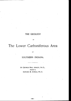 The Lower Carboniferous Area