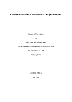 Cellular maturation of mitochondrial molybdoenzymes Julian Klein