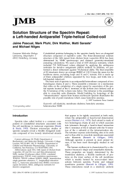 Solution Structure of the Spectrin Repeat: a Left